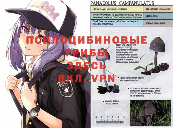 а пвп мука Беломорск